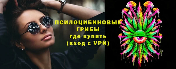 гидра Алзамай
